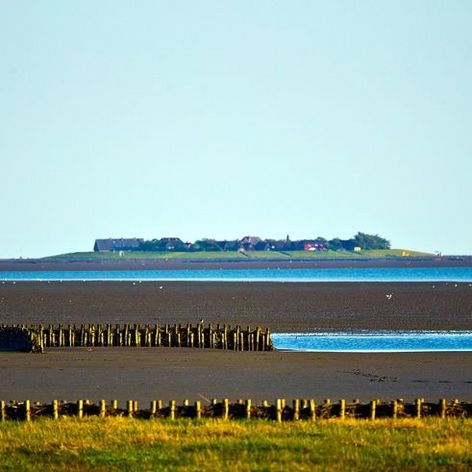 Wattenmeer