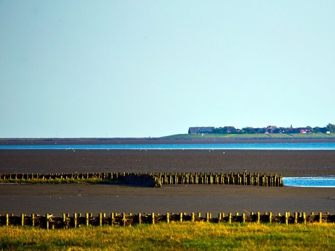 Hallig bei Ebbe